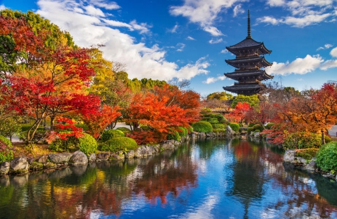 Organizzare un viaggio in Giappone