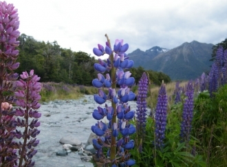 Milford Sound
