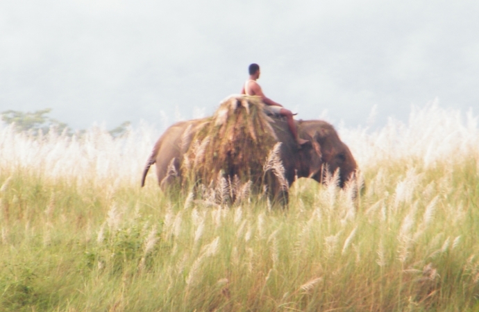 Nepal 2010