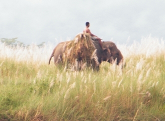 Nepal 2010