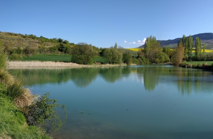 Settimana dal 7 Aprile al 14 Aprile