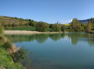 Settimana dal 7 Aprile al 14 Aprile
