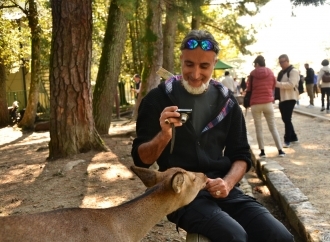 Nara ed i cerbiatti addomesticati